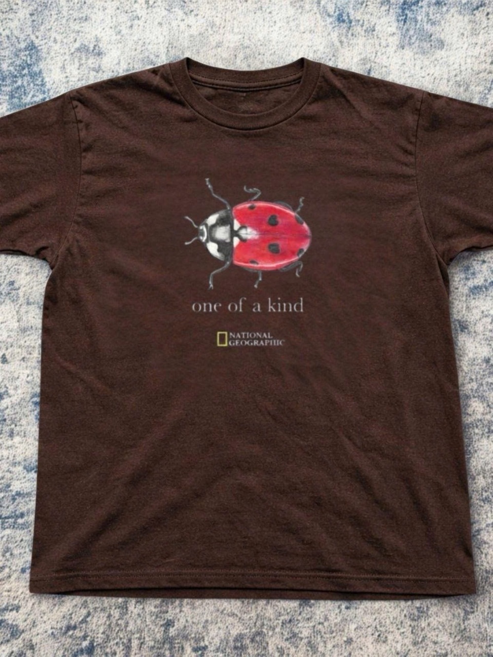 Gildan Brown Short Sleeve Tee with Red Ladybug Graphic